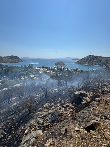 Bodrum Gümüşlük’te Yangın Kontrol Altına Alındı, Can Kaybı Yok