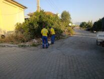 Fethiye Belediyesi, Esenköy'de Çevre Temizliği ile Doğayı Koruyor - Beşkaza TV görseli 1