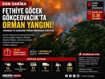 Fethiye'de Orman Yangını: Ekipler Zamanla Yarışıyor