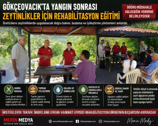Gökçeovacık'ta Yangın Sonrası Zeytinlikler İçin Rehabilitasyon Eğitimi
