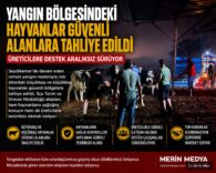 Seydikemer'de Yangın Bölgesindeki Hayvanlar Güvenli Alanlara Tahliye Edildi