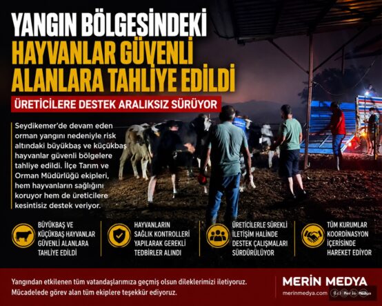 Seydikemer'de Yangın Bölgesindeki Hayvanlar Güvenli Alanlara Tahliye Edildi