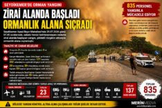 Seydikemer'de Zirai Alanda Başlayan Yangın Ormanlık Alana Sıçradı