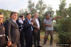 Çatak Mahallesi'nde Yangın Sonrası İyileştirme Çalışmaları Devam Ediyor
