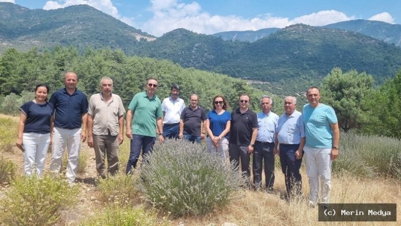 Fethiye'de Tıbbi Bitki İncelemesi