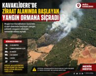 Kavaklıdere'de Ziraat Alanında Başlayan Yangın Ormana Sıçradı