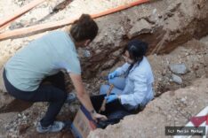 Kötekli'de Yol Kazısında Mezar Buluntuları Ortaya Çıktı