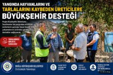 Muğla Büyükşehir Belediyesi'nden Yangın Mağdurlarına Destek: Hasar Tespit Çalışmaları Başladı