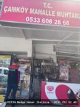 Muğla'da Yeni Doğan Buzağı Bakımı Projesi 31 Ağustos'ta Başlıyor
