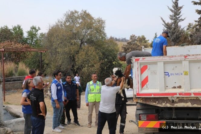Seydikemer'de Yangın Sonrası Üreticilere Hızla Destek
