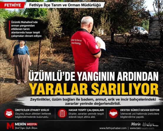 Üzümlü’de Yangın Sonrası Tarım Alanlarında Hasar Tespiti Devam Ediyor