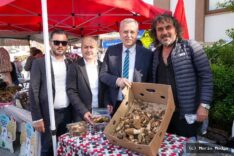 Fethiye'de Kuzugöbeği Mantarı'na Coğrafi İşaret Tescili
