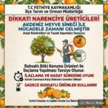 Narenciyede Akdeniz Meyve Sineği Uyarısı