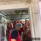 Seydikemer'de Gıda İşletmelerine Kapsamlı Denetim