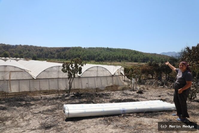 Seydikemer’deki Yangın Sonrası Üreticilere Hızlı Destek