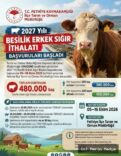 Fethiye'de 2027 Yılı Besilik Erkek Sığır İthalatı Başvuruları Başladı