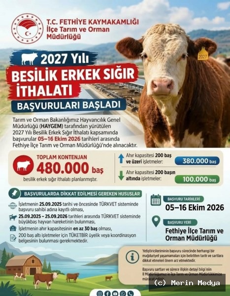 Fethiye’de 2027 Yılı Besilik Erkek Sığır İthalatı Başvuruları Başladı