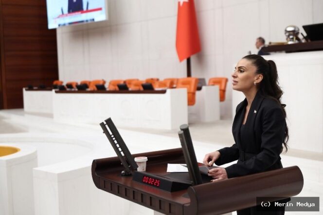 Fethiye’de Fon Krizi: Gizem Özcan’dan Önemli Açıklamalar