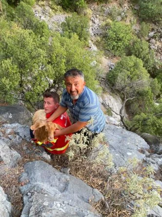 Seydikemer'de Oğlak Kurtarma Operasyonu Başarıyla Tamamlandı - Beşkaza TV görseli 1